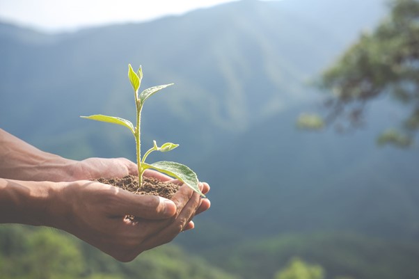Importancia de una correcta gestión ambiental