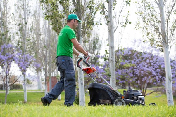 Mantenimiento integral de jardines y piscinas