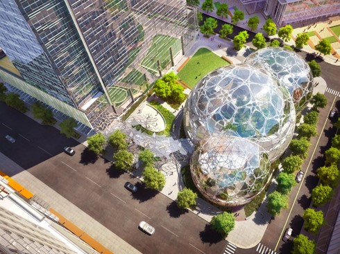 Jardinería corporativa para conquistar a tus empleados