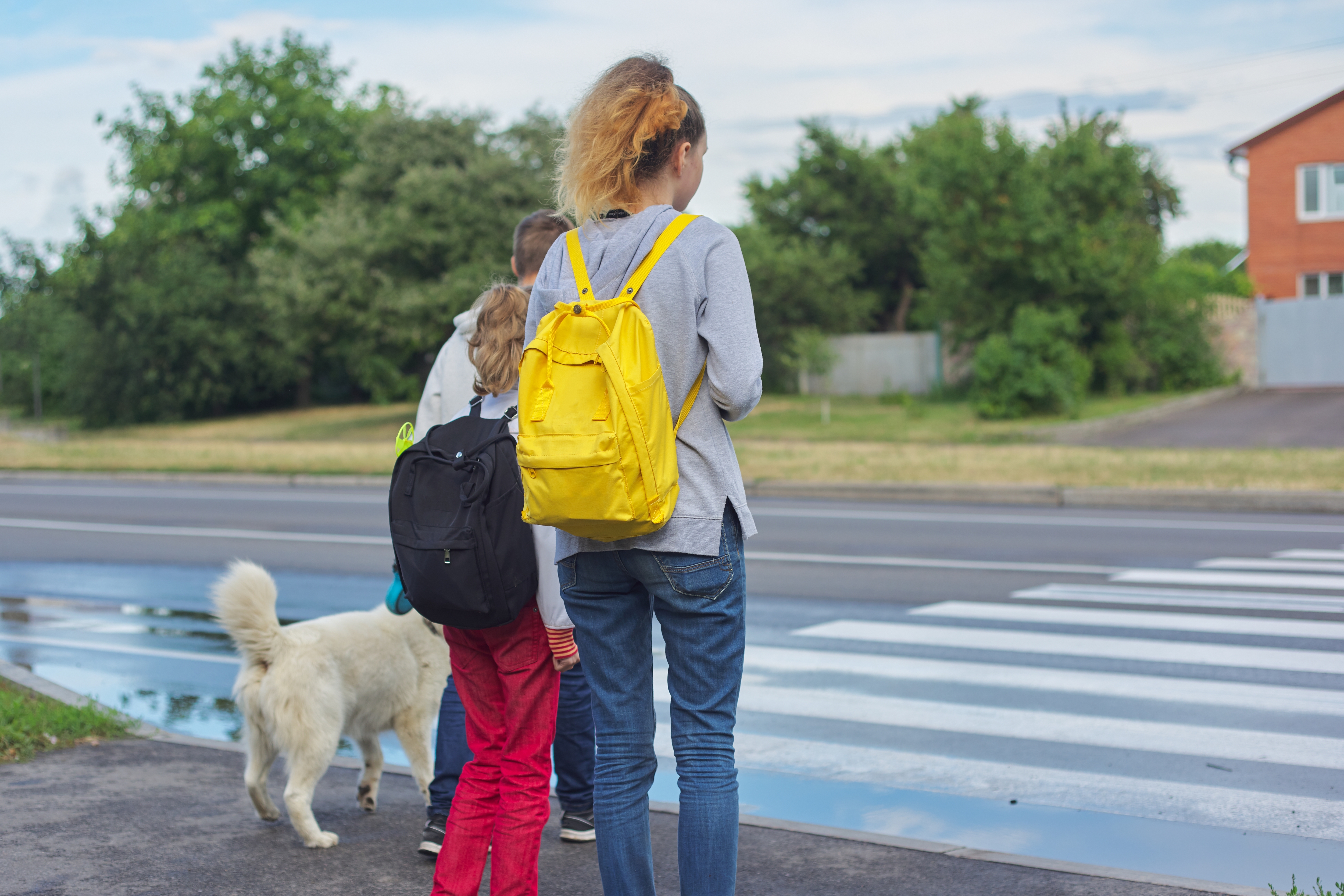 Dimoba realizará servicio de control de accesos y de educación vial en centros escolares de Badalona