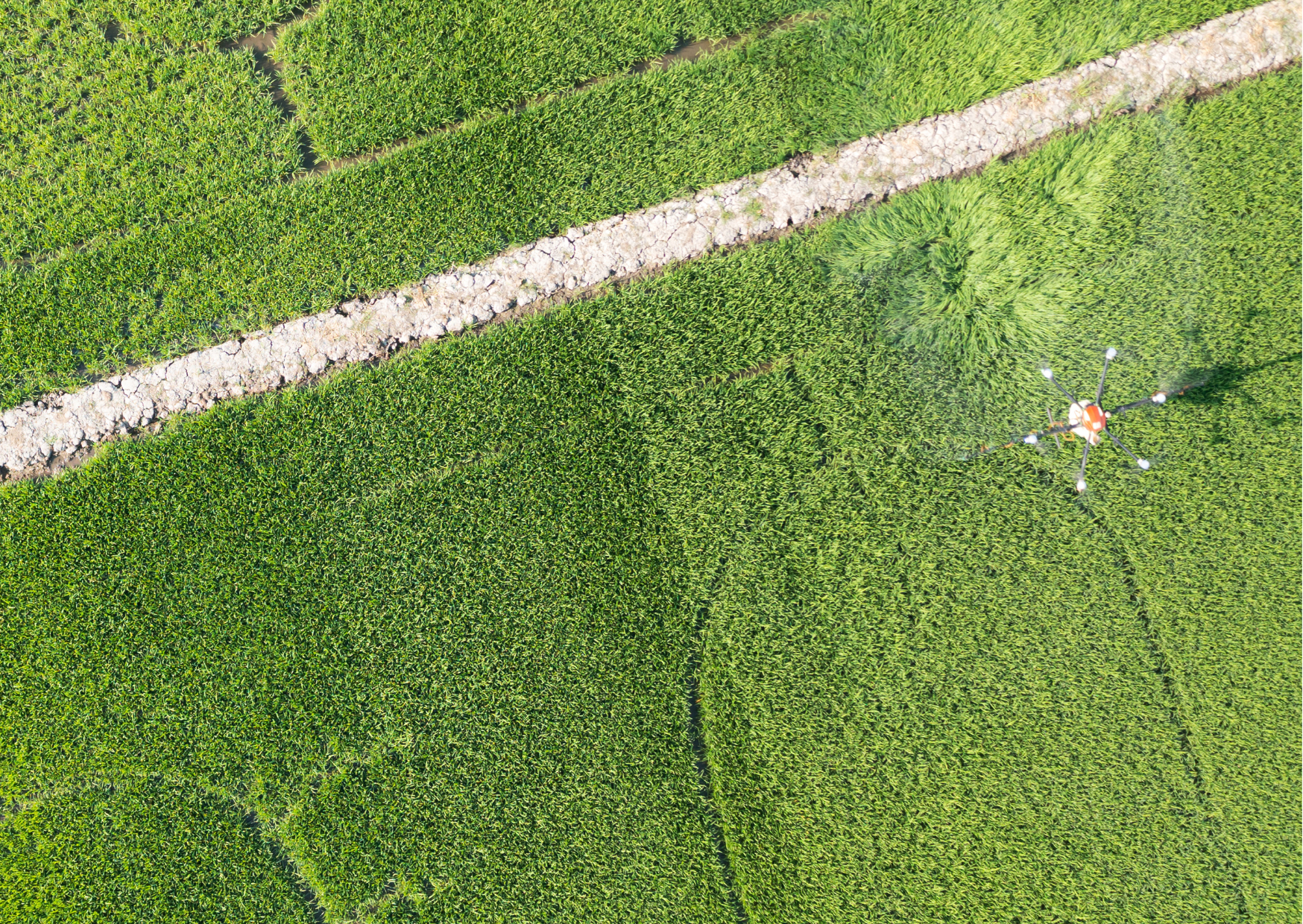 Dron en la agricultura: usos y beneficios